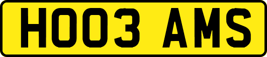 HO03AMS