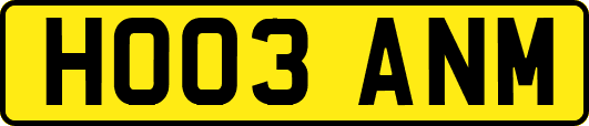 HO03ANM