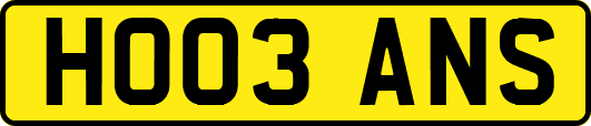 HO03ANS
