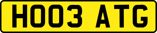 HO03ATG