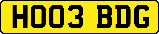 HO03BDG