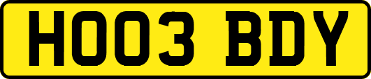 HO03BDY