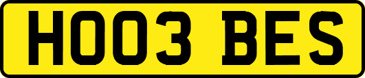 HO03BES