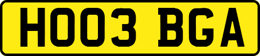 HO03BGA