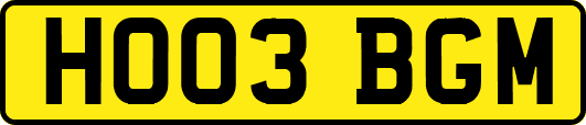 HO03BGM