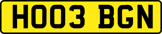 HO03BGN
