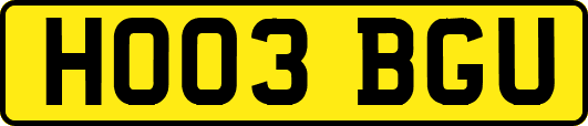 HO03BGU