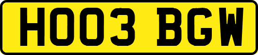 HO03BGW