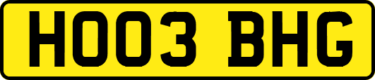 HO03BHG