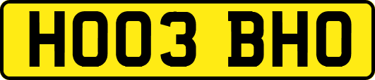 HO03BHO