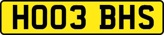 HO03BHS