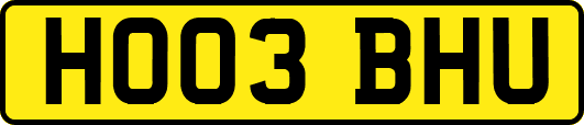 HO03BHU