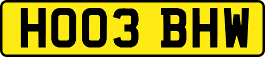 HO03BHW