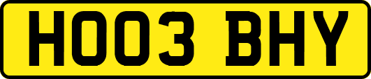 HO03BHY