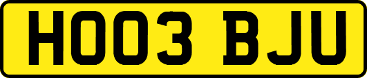 HO03BJU