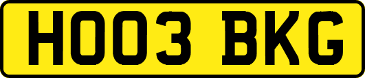 HO03BKG