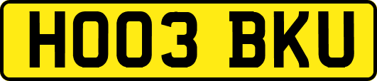HO03BKU