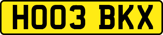 HO03BKX