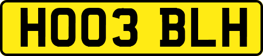 HO03BLH