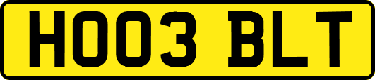HO03BLT