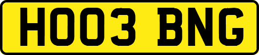 HO03BNG