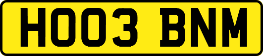 HO03BNM