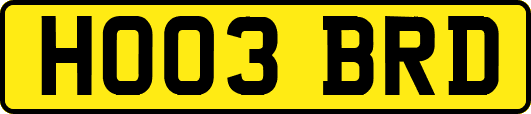 HO03BRD