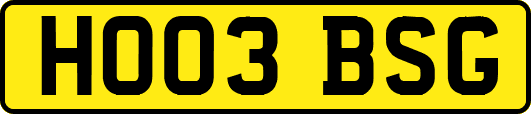 HO03BSG