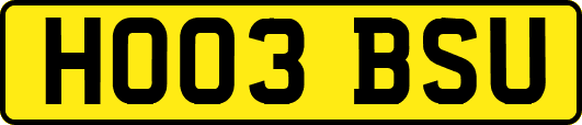 HO03BSU