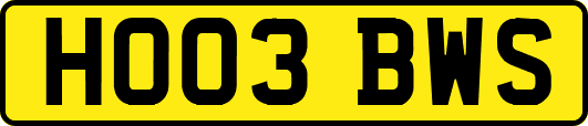 HO03BWS