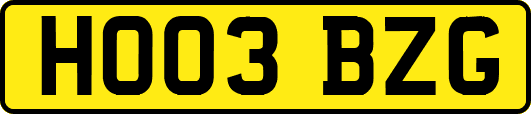 HO03BZG