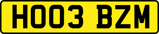 HO03BZM