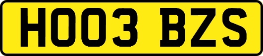 HO03BZS