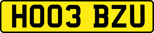 HO03BZU