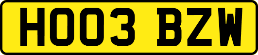 HO03BZW