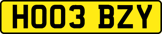HO03BZY