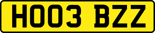 HO03BZZ