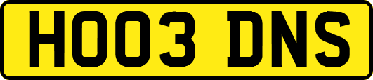 HO03DNS