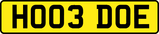 HO03DOE
