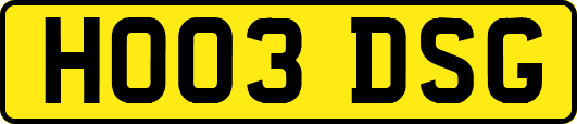 HO03DSG