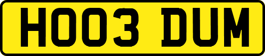 HO03DUM