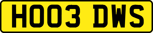 HO03DWS