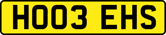HO03EHS