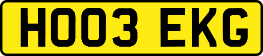 HO03EKG