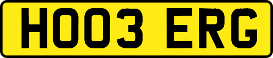 HO03ERG
