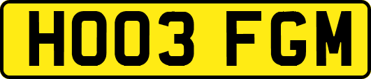 HO03FGM