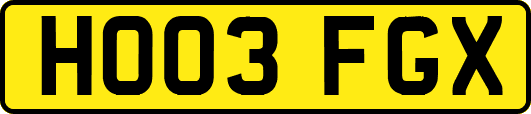 HO03FGX