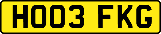 HO03FKG