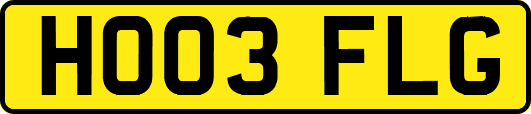 HO03FLG