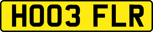 HO03FLR